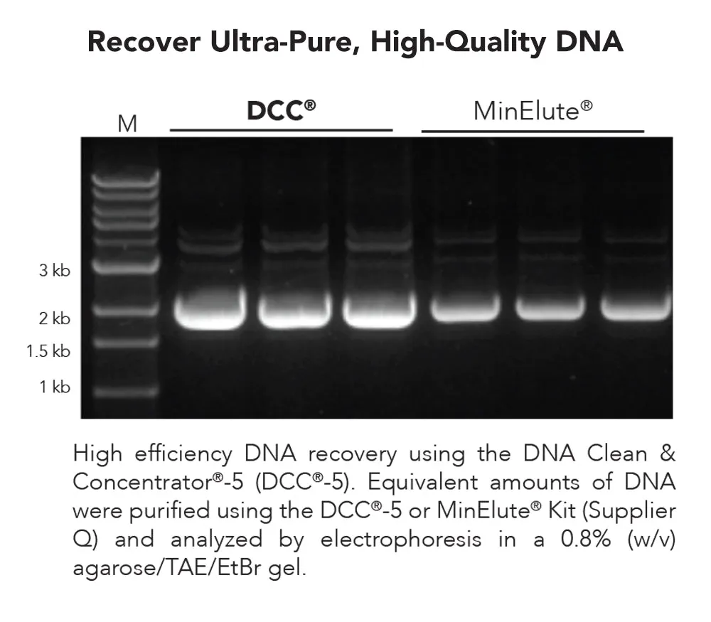 DNA Clean & Concentrator
