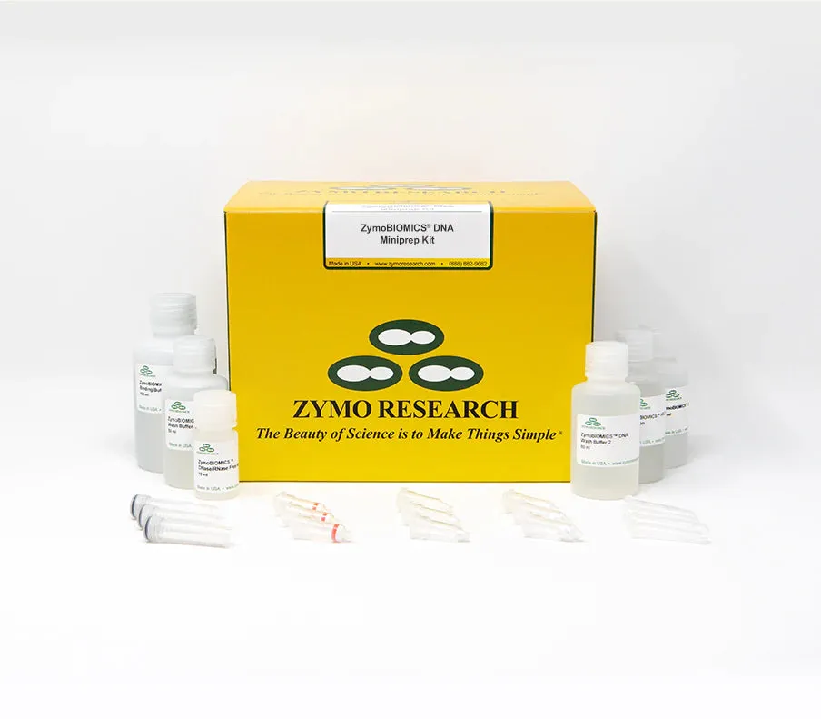 ZymoBIOMICS Microbial DNA